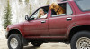 get-ready-for-winter-with-our-car-care-checklist_260x141