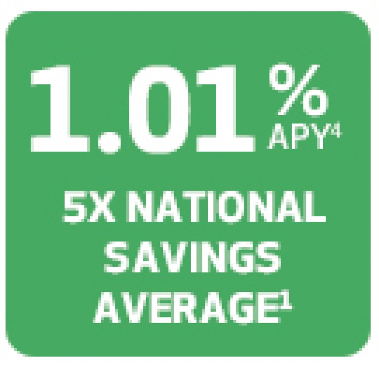 online_savings_account_0417_135x130