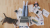 Work From Home