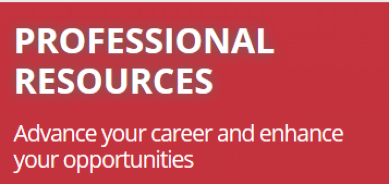professional